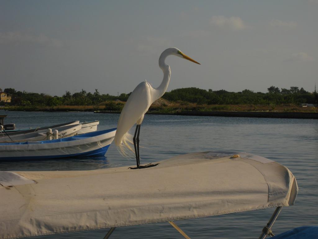 Laru Beya All Inclusive Resort Placencia Buitenkant foto